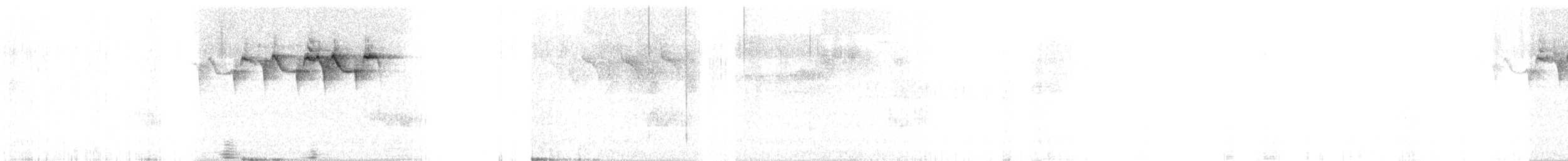 Bay-breasted Warbler - ML459477811