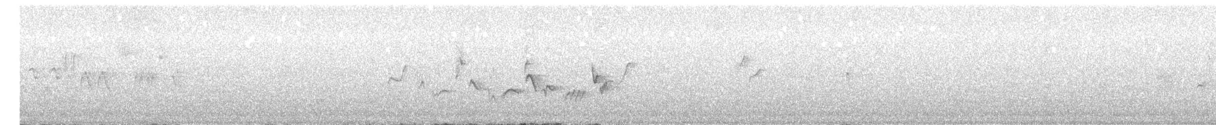 Batı Amerika Sinekkapanı (occidentalis/hellmayri) - ML459484701