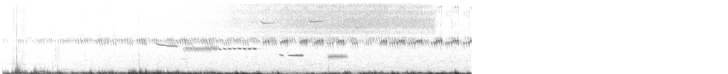 Cassin's Sparrow - ML459507011