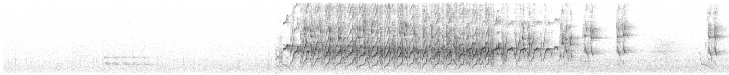 sabeltreløper - ML459523461