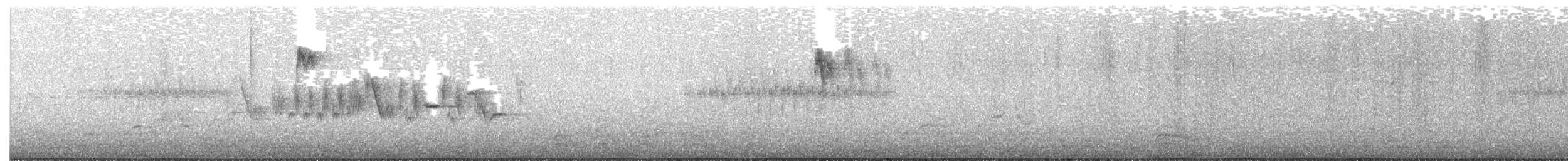 Black-throated Gray Warbler - ML459561031