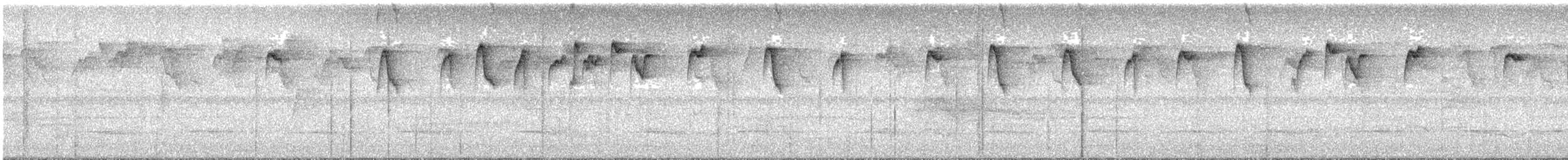 Пестрогорлый колибри-отшельник - ML459600481