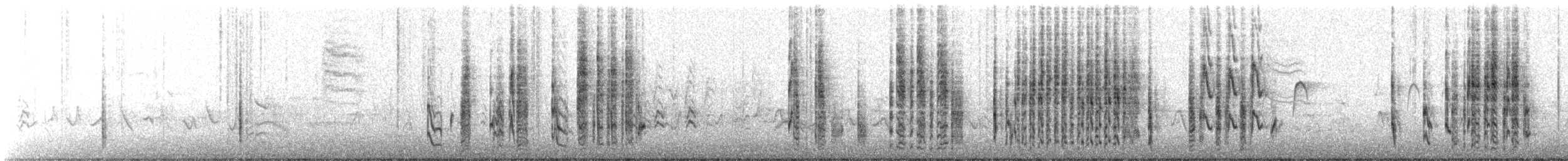 Grass Wren (Northern) - ML459604621