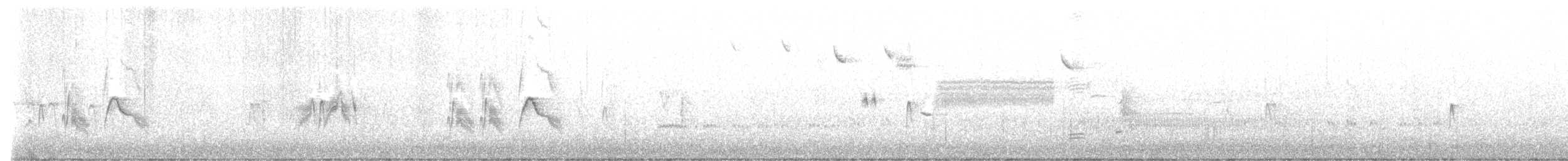 Alder Flycatcher - ML459628501