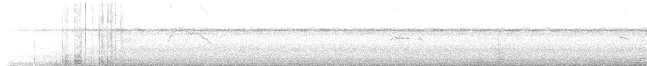 Wedge-tailed Shearwater - ML459632621