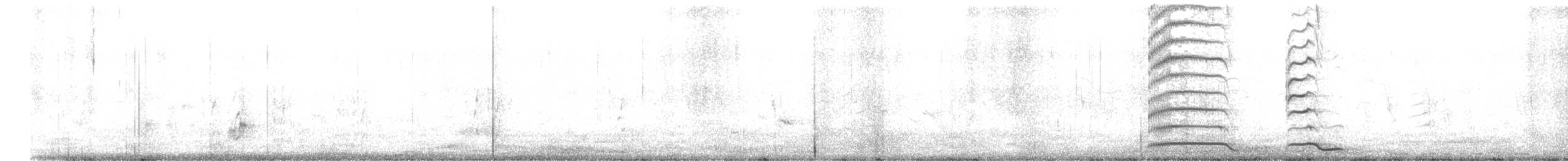 Pheasant-tailed Jacana - ML459644511