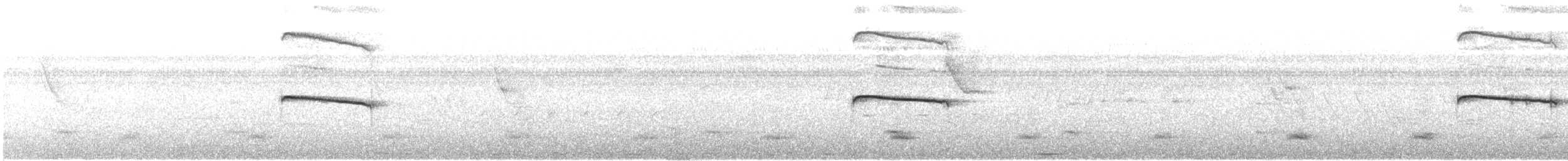 Лінивка-строкатка маскова - ML459688431