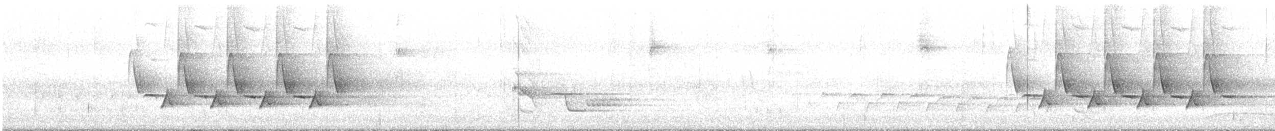 Поплітник каролінський - ML459734241
