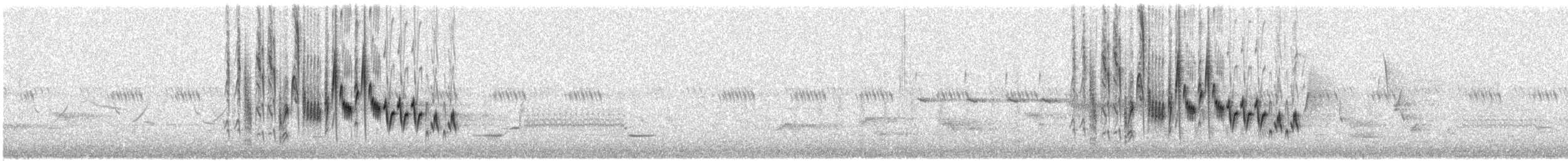 Northern House Wren - ML459760051