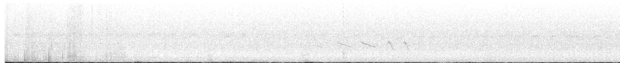 オジロヒメドリ - ML459793101