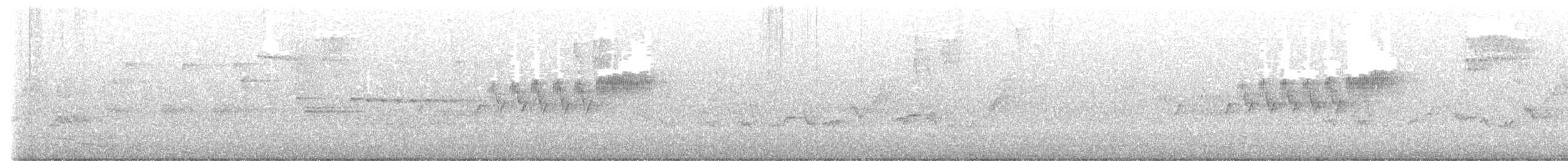 Cerulean Warbler - ML459797831