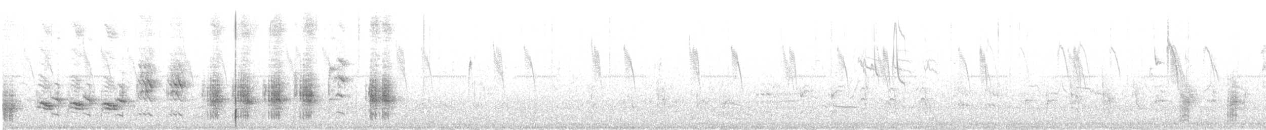 Great Reed Warbler - ML459909981