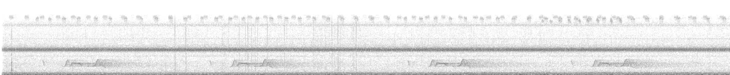 Carolinanachtschwalbe - ML459931921