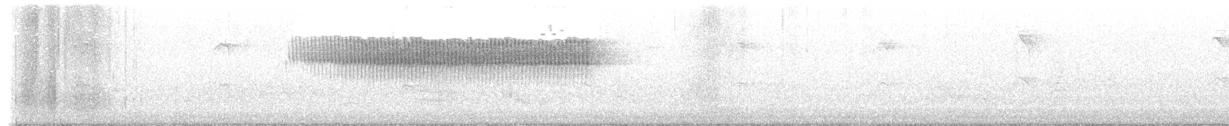 Paruline vermivore - ML459941171