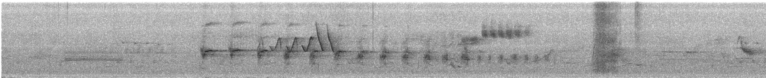 Virginia Rail - ML460007591