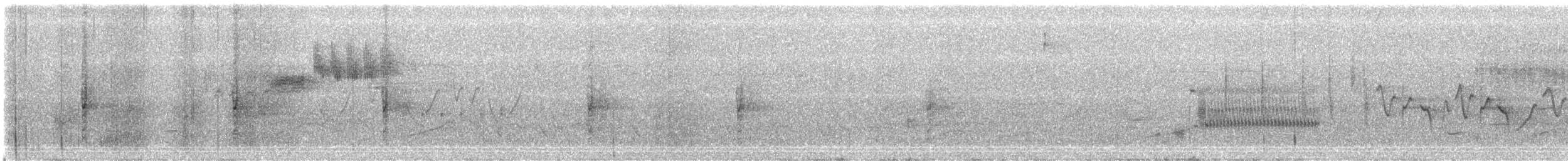 passerine sp. - ML460009551