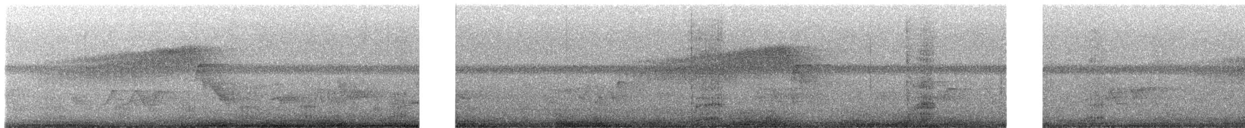 Northern Parula - ML460081181