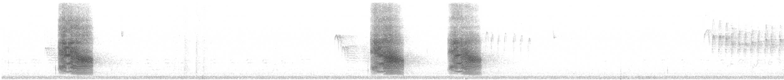 Chara de Steller - ML460101211