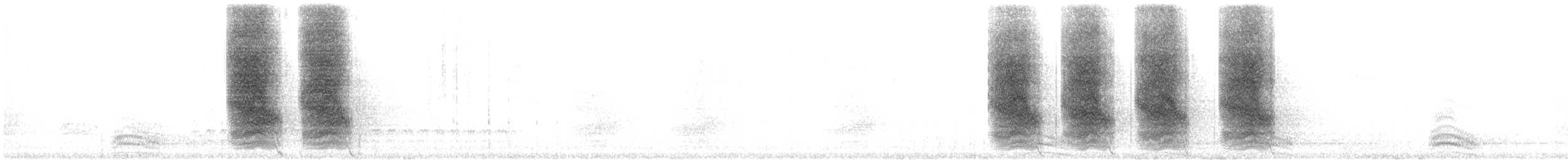 Chara de Steller - ML460101231