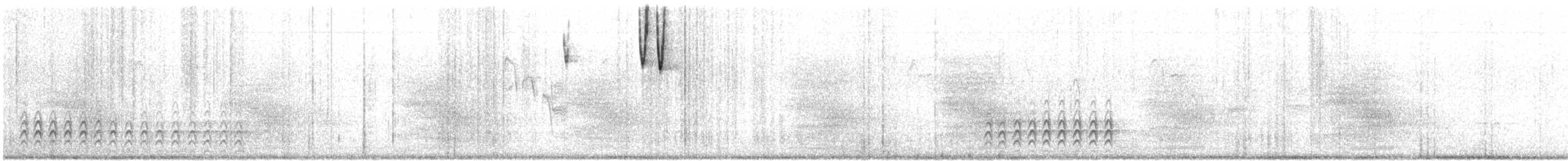 Weißbrustkleiber [lagunae-Gruppe] - ML460101311