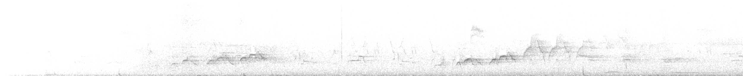 Swainson's Thrush - ML460120731