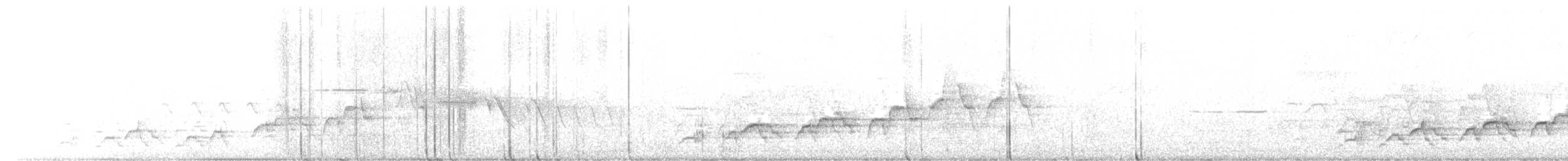 Swainson's Thrush - ML460120821