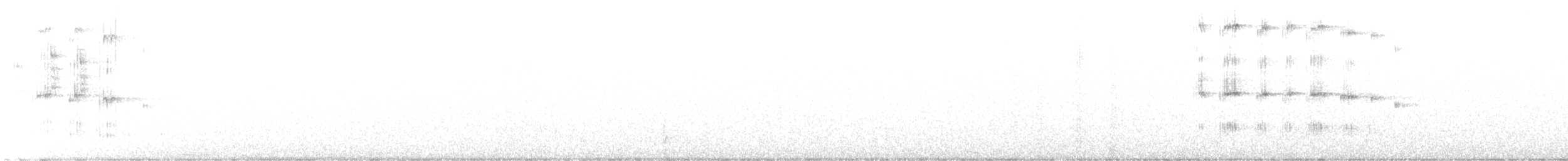 Сипуха крапчаста - ML460124131