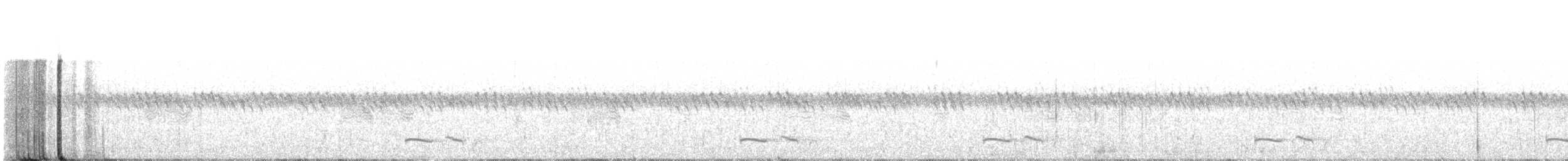 Chotacabras Pachacua - ML460127261