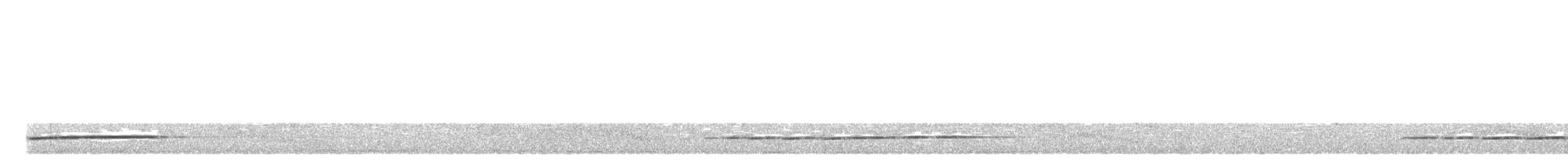 Ратина сірочерева - ML460130511