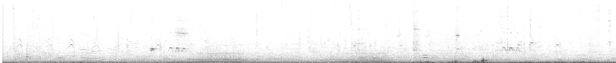 husice bělohlavá - ML460155471