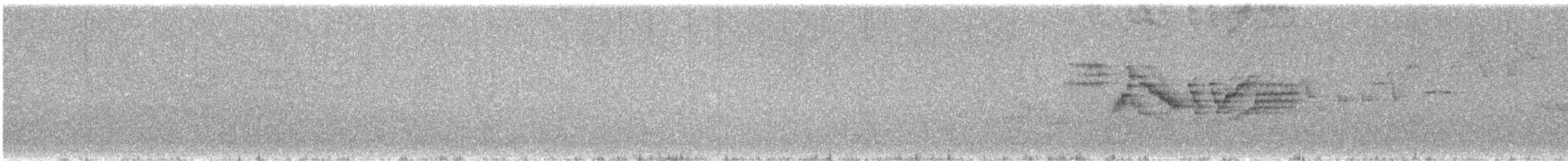Bicknell Bülbül Ardıcı - ML460158771
