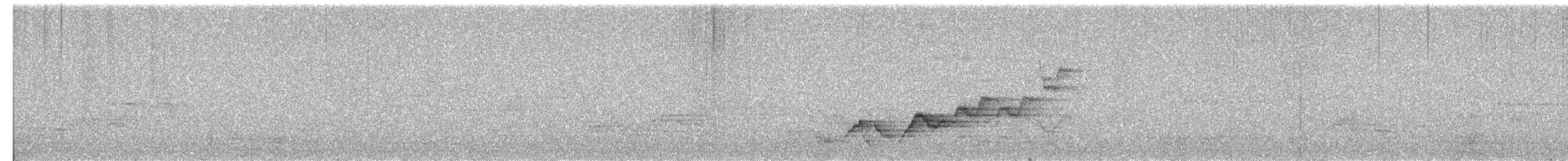Дрізд-короткодзьоб Cвенсона - ML460158961