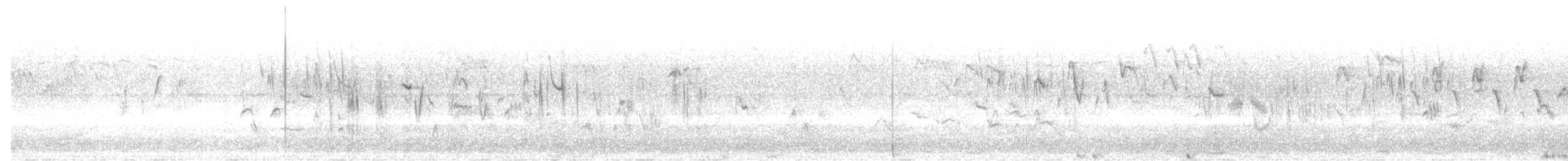 Iberien-Bartgrasmücke - ML460183281