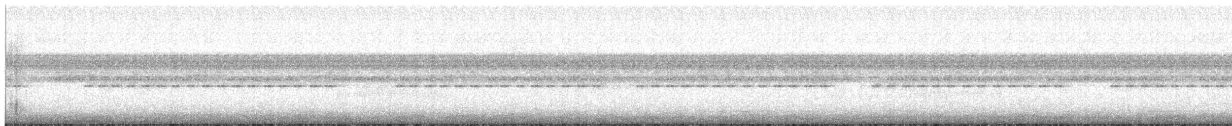 gråpannedue - ML460202871