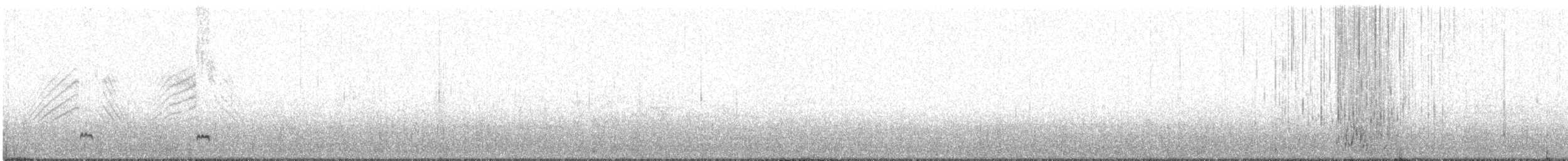 Шилохвіст жовтодзьобий - ML460232621