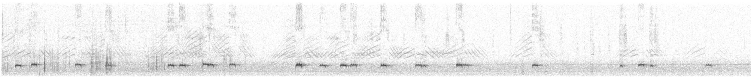 spisshaleand (georgica) - ML460253511