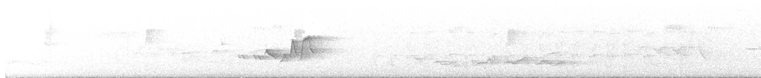 Hooded Warbler - ML460257841