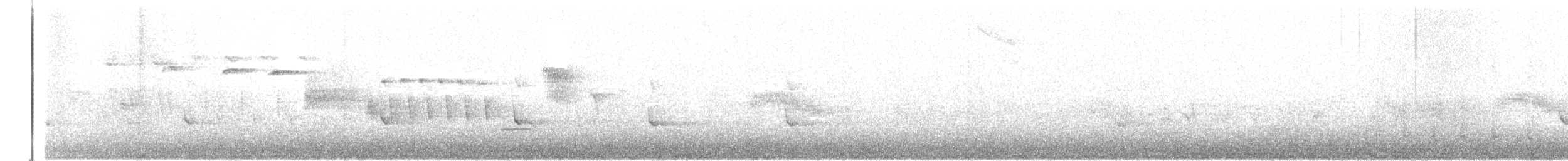 White-tailed Kite - ML460270621