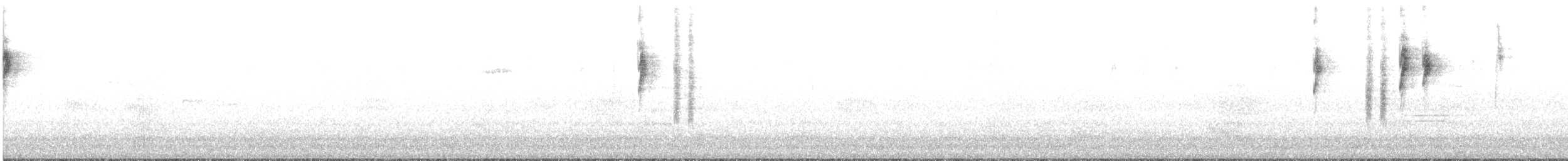 White-browed Scrubwren (White-browed) - ML460342961