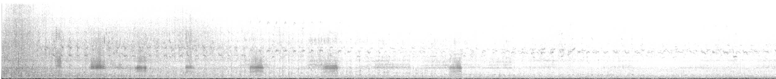 Pasifik Kara Ördeği - ML460345601