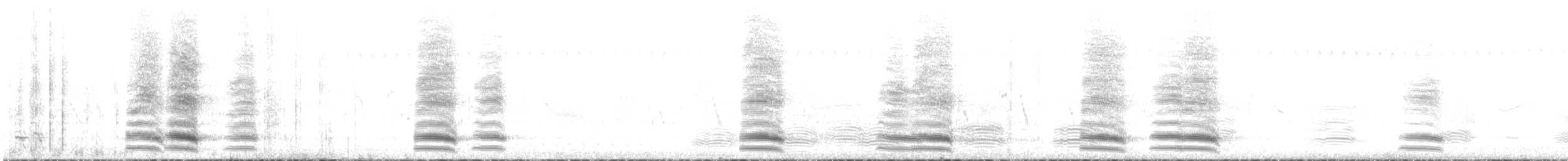 Avustralya Saksağanı (telonocua/tyrannica) - ML460346371