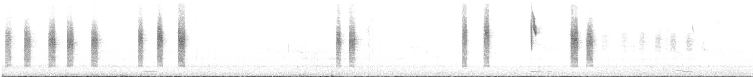 Roststirn-Dornschnabel - ML460346681