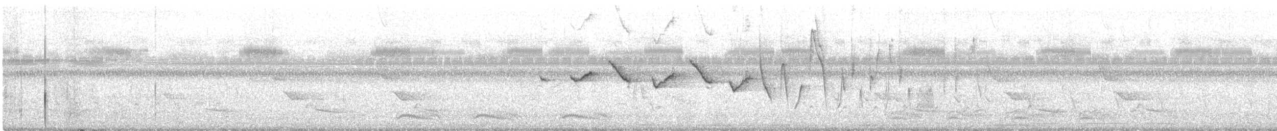 strømparula - ML460399231