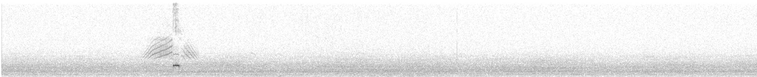 Шилохвіст жовтодзьобий (підвид georgica) - ML460402931