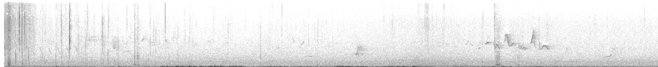 Colino della Virginia - ML460408601