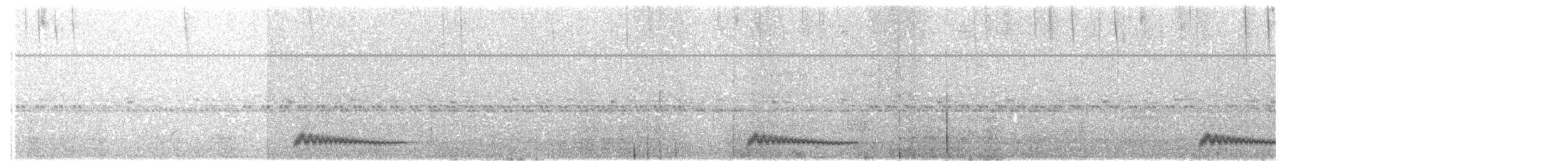 Engoulevent ocellé - ML46042611