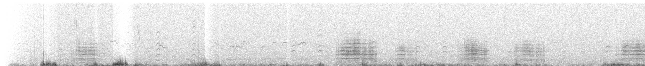 ibis hnědý - ML460536171