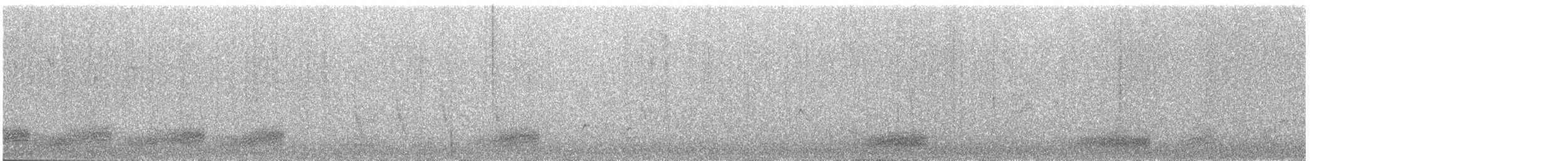 Troglodyte du Yucatan - ML46057791