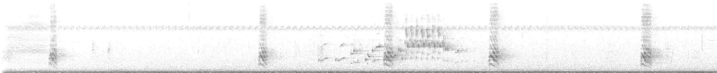 Приморская овсянка-барсучок [группа sennetti] - ML460644391