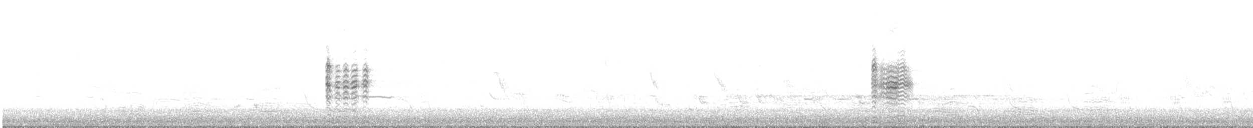 australdvergdykker - ML460671181